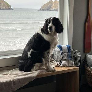 Meet your Posher, Jan